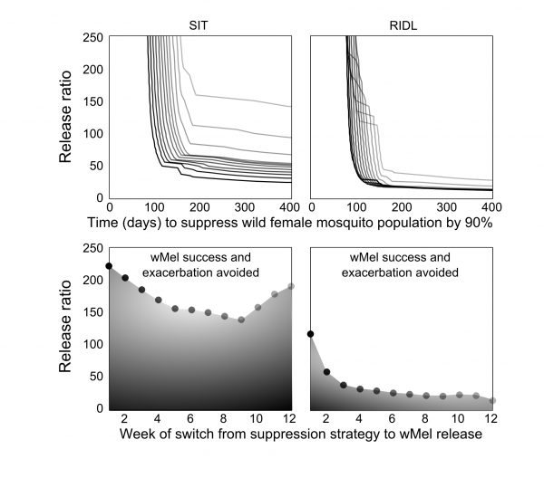 Top: Lower release numbers delay or preclude the invasion of wMel following SIT (left column) or RIDL (right column). Darker lines represent an earlier timed switch from suppression to Wolbachia release (corresponding with the markers in the lower sub-plots). Bottom: Timing of the switch from suppression to wMel affects the release ratio required to negate temporarily increasing wild A. aegypti populations (relative to no control).
