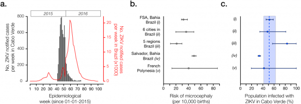 (Panel a) Number of ZIKV notified cases per epidemiological week in Cabo Verde (dark grey) and in Brazil (red). (Panel b) Reported number of microcephaly cases per 10,000 ZIKV-exposed pregnancies and corresponding 95% confidence intervals by studies (i)-(v). (Panel c) Estimated proportion of the Cabo Verdean population infected with ZIKV during the 2015-2016 outbreak (attack rate, AR), as formulated by AR = m /(b x rMC). We considered m=18 microcephaly cases across Cabo Verde as reported to the SVIER-MS, and b=10,908 births during the observation period; rMC=risk of microcephaly per pregnancy extrapolated from reports in panel b. Dashed line and coloured area represent the mean and standard error estimates for the AR in Cabo Verde. 